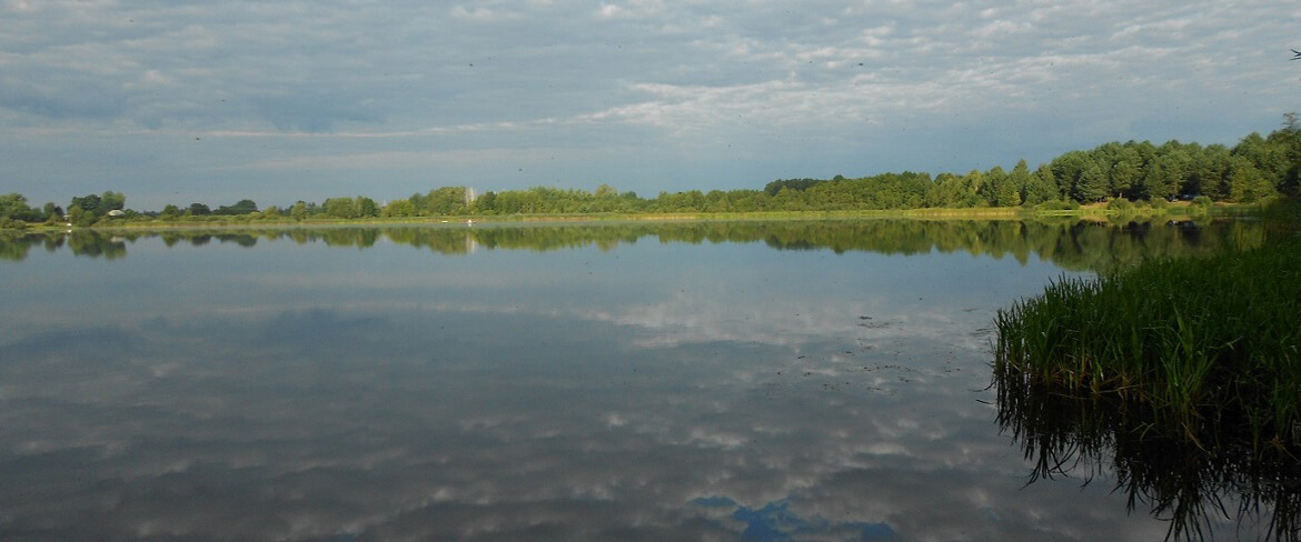 Jezioro Glinki (Pojezierze Łęczyńsko-Włodawskie)